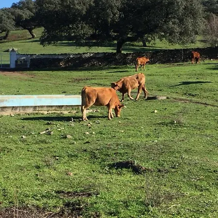 Hacienda El Capricho Villa